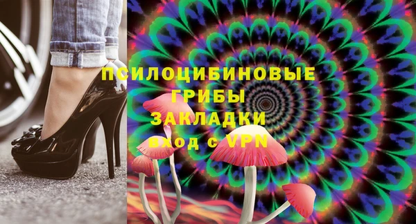 сатива Медвежьегорск