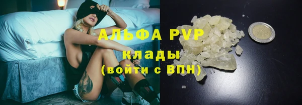 ECSTASY Михайловск
