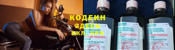 сатива Медвежьегорск
