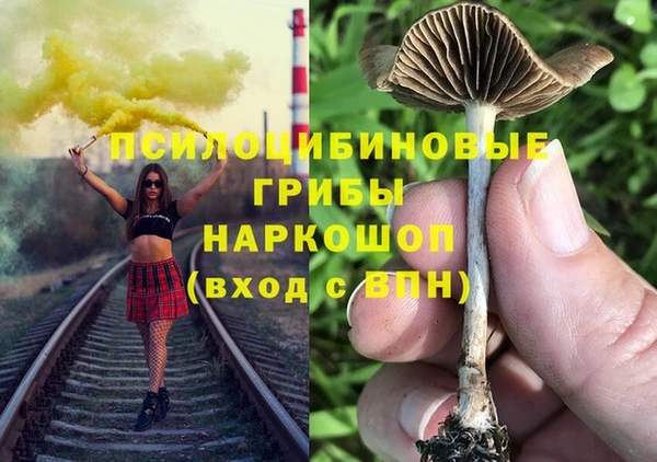 соль ск Мегион