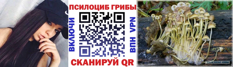 Купить где  Калач-на-Дону  Галлюциногенные грибы GOLDEN TEACHER 